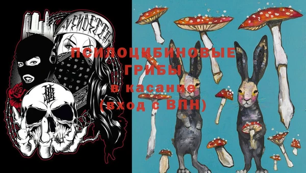 кристаллы Корсаков