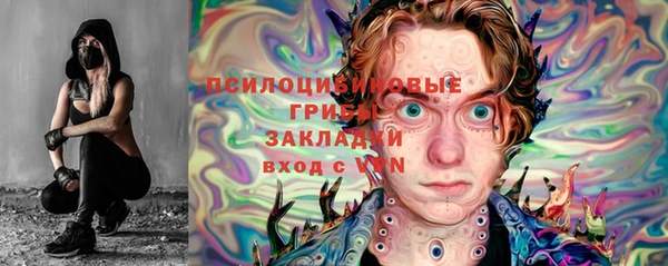 кристаллы Корсаков