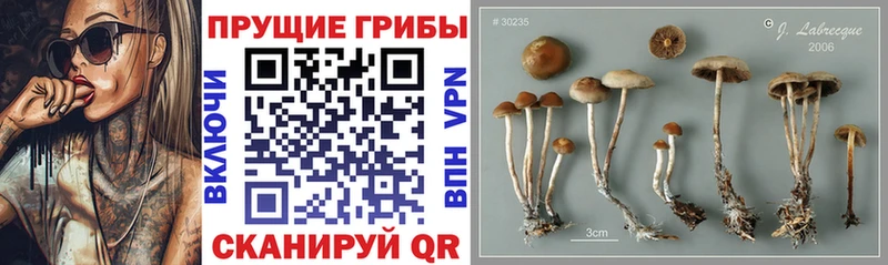 Купить закладки  Еманжелинск  Галлюциногенные грибы мухоморы 